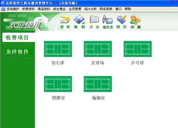 龙祥球王羽毛球馆管理软件 智能化运营新篇章